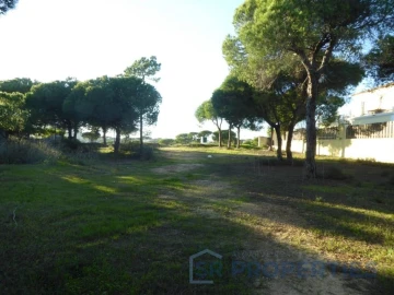 Terreno para Venda em Almancil