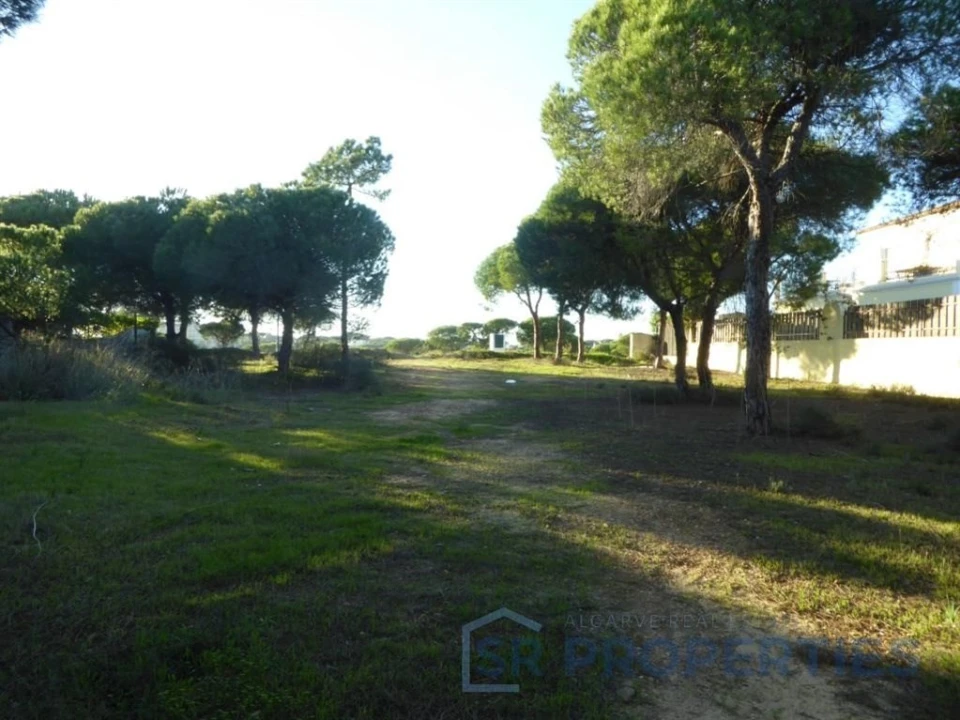 Terreno para Venda em Almancil Foto 12