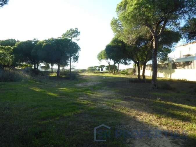 Terreno para Venda em Almancil Foto 5