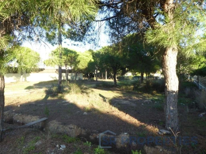 Terreno para Venda em Almancil Foto 10