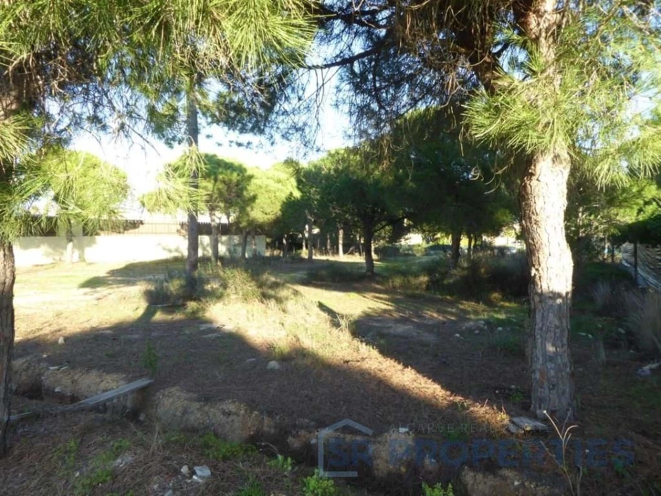 Terreno para Venda em Almancil Foto 10