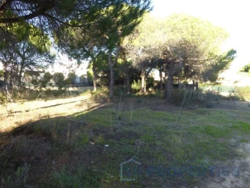 Terreno para Venda em Almancil