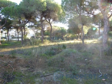 Terreno para Venda em Almancil