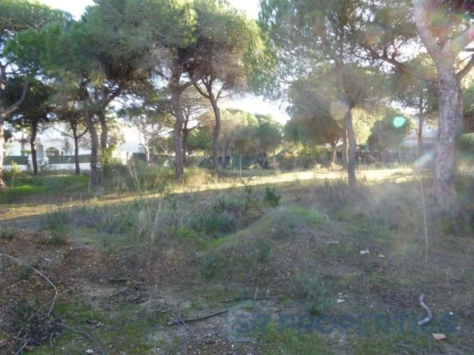 Terreno para Venda em Almancil Foto 7