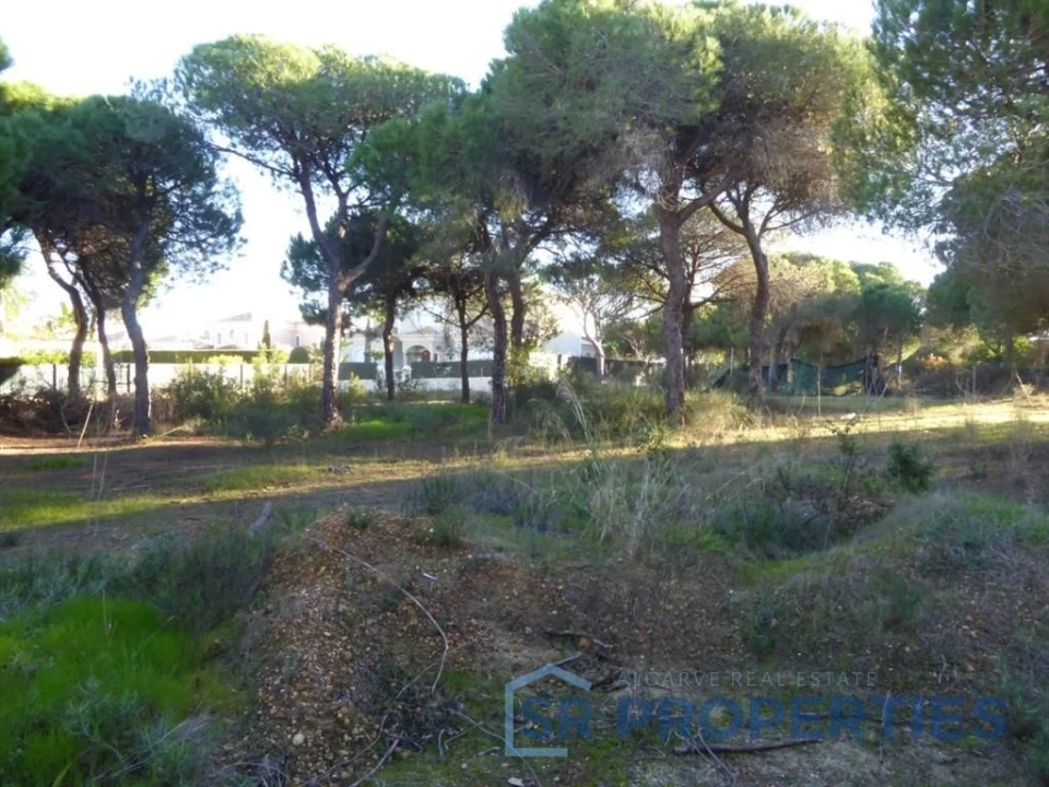 Terreno para Venda em Almancil Foto 15