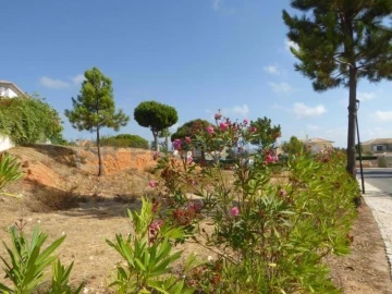 Terreno para Venda em Almancil