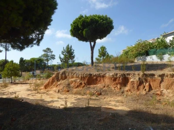 Terreno para Venda em Almancil Foto 11