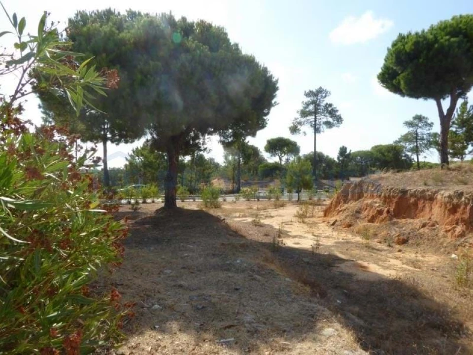 Terreno para Venda em Almancil Foto 10