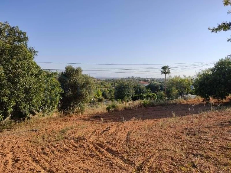 Terreno para Venda em Loule (São Clemente) Foto 1