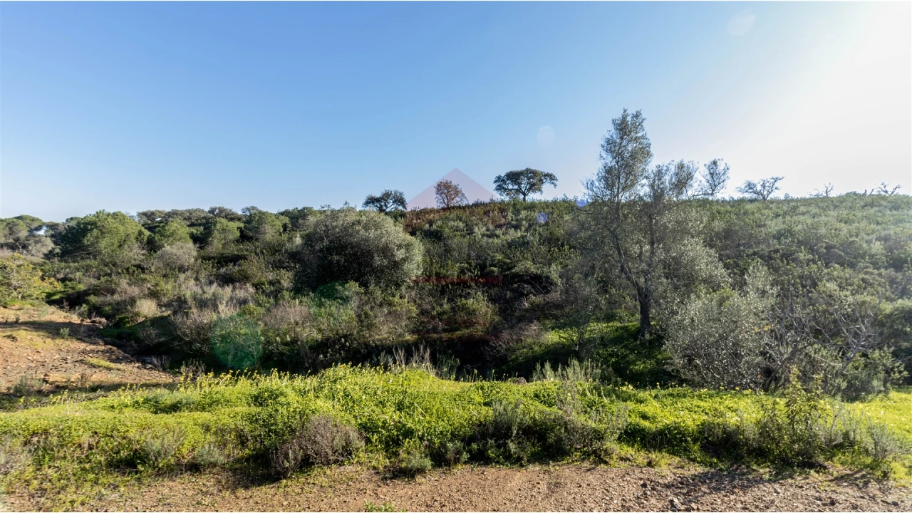 Terreno Agricola ou Rústico para Venda em Azinhal Foto 2