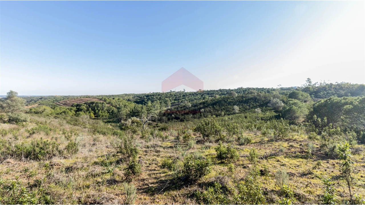 Terreno Agricola ou Rústico para Venda em Azinhal Foto 1