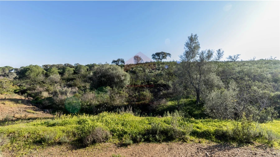 Terreno Agricola ou Rústico para Venda em Azinhal Foto 2