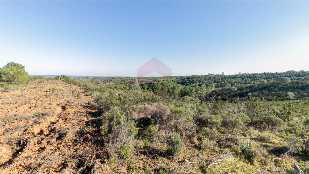 Terreno Agricola ou Rústico para Venda em Azinhal Foto 5