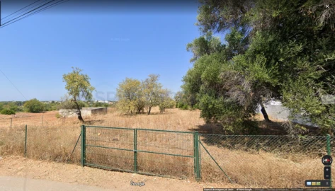 Terreno para Venda em Almancil