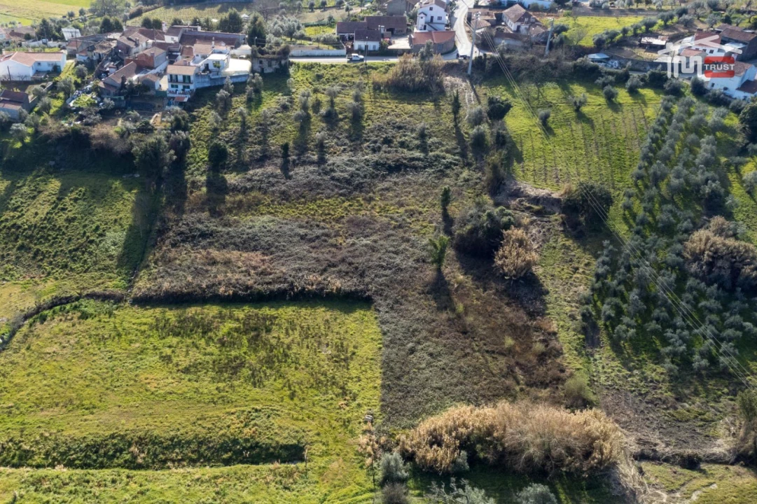 Terreno para Venda em Gondemaria e Olival Foto 5