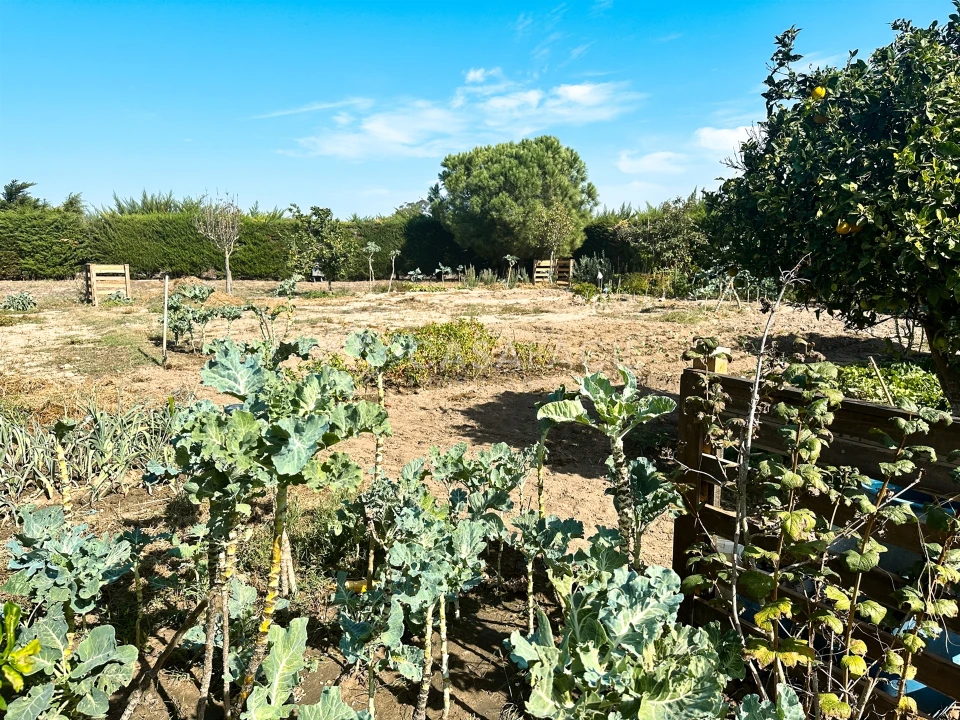 Quinta T4 para Venda em Alcochete Foto 40