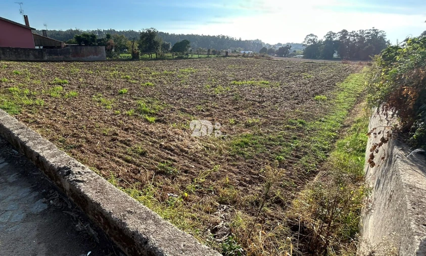 Terreno para Venda em Vilar e Mosteiró Foto 4