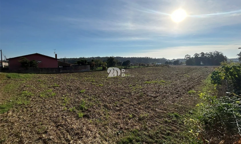 Terreno para Venda em Vilar e Mosteiró Foto 1