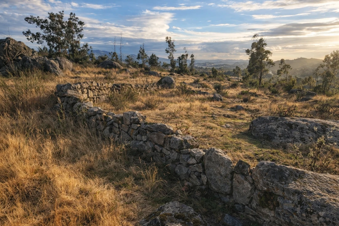 Terreno para Venda em Sanfins Lamoso Codessos Foto 1