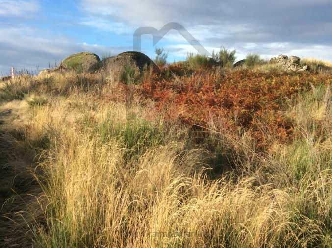 Terreno para Venda em Sanfins Lamoso Codessos Foto 4