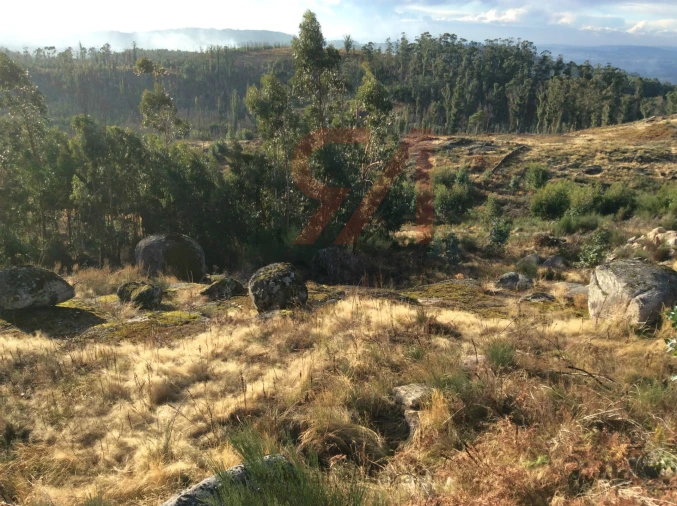 Terreno para Venda em Sanfins Lamoso Codessos Foto 6