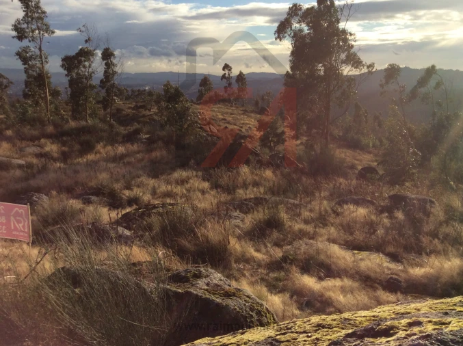 Terreno para Venda em Sanfins Lamoso Codessos Foto 5