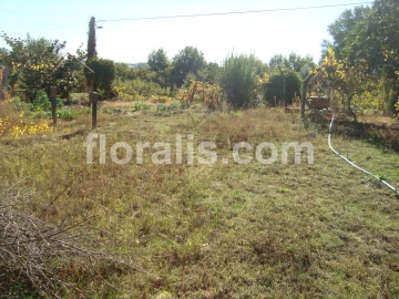 Terreno para Venda em Viseu
