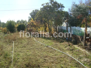 Terreno para Venda em Viseu