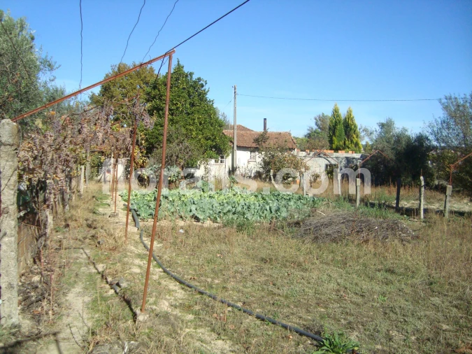 Terreno para Venda em Viseu
