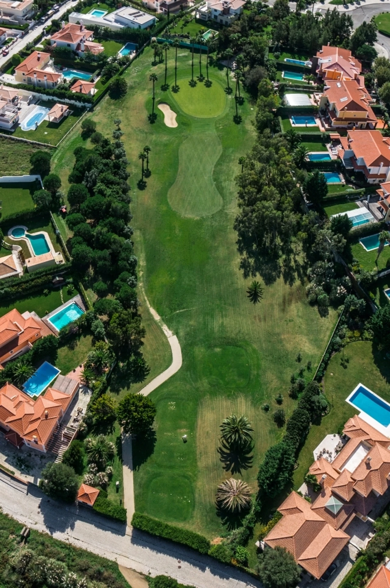 Terreno para Venda em Santa Maria e São Miguel, São Martinho, São Pedro Penaferrim Foto 10