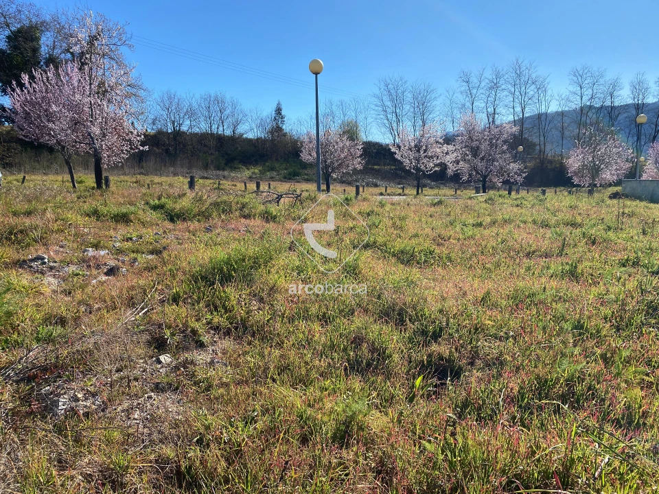 Terreno para Venda em Paço Foto 16