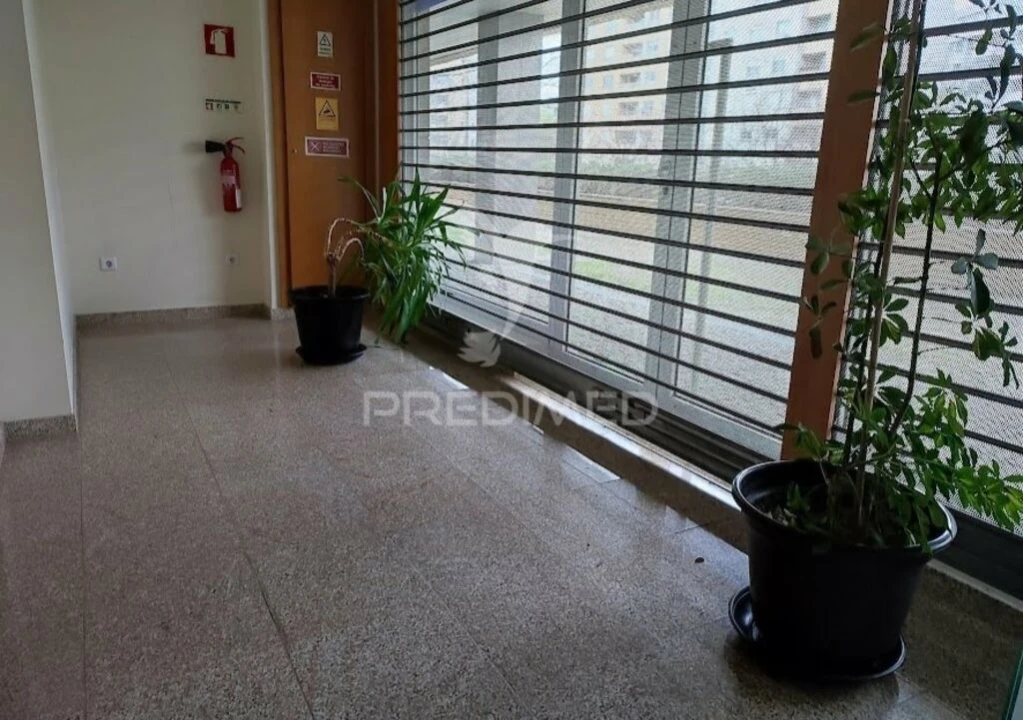 Loja para Arrendamento em Aldoar, Foz do Douro e Nevogilde Foto 4