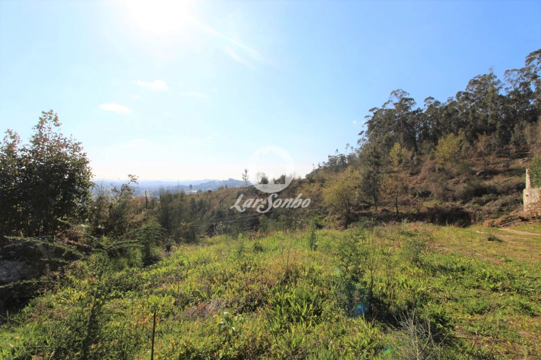 Terreno para Venda em Vale (São Cosme), Telhado e Portela Foto 5