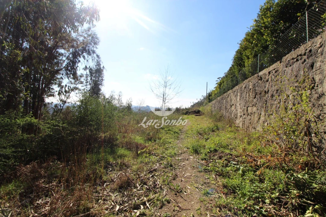 Terreno para Venda em Vale (São Cosme), Telhado e Portela Foto 7
