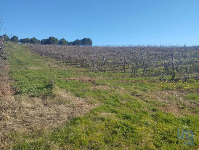 Terreno para Venda em Lamas e Cercal Foto 6