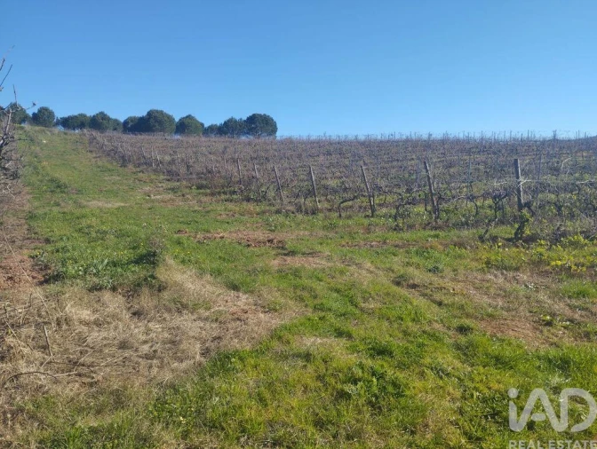 Terreno para Venda em Lamas e Cercal Foto 16