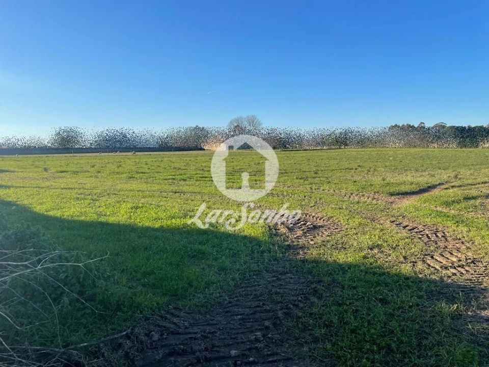 Terreno para Venda em Junqueira Foto 1