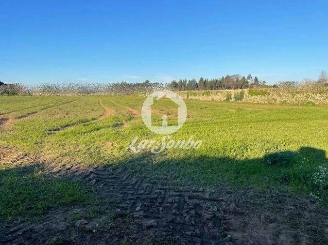 Terreno para Venda em Junqueira Foto 2