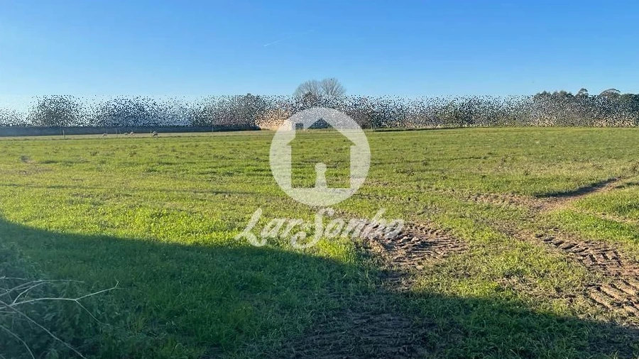 Terreno para Venda em Junqueira