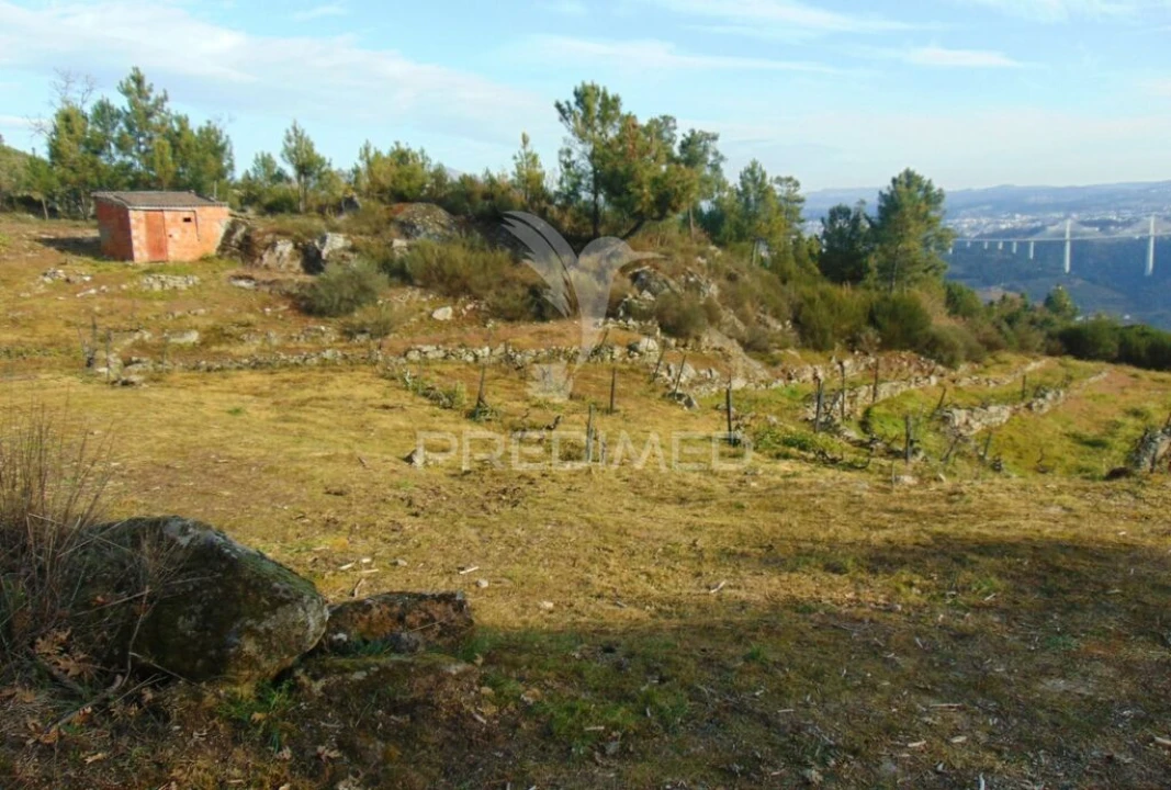 Terreno para Venda em Cumieira Foto 9