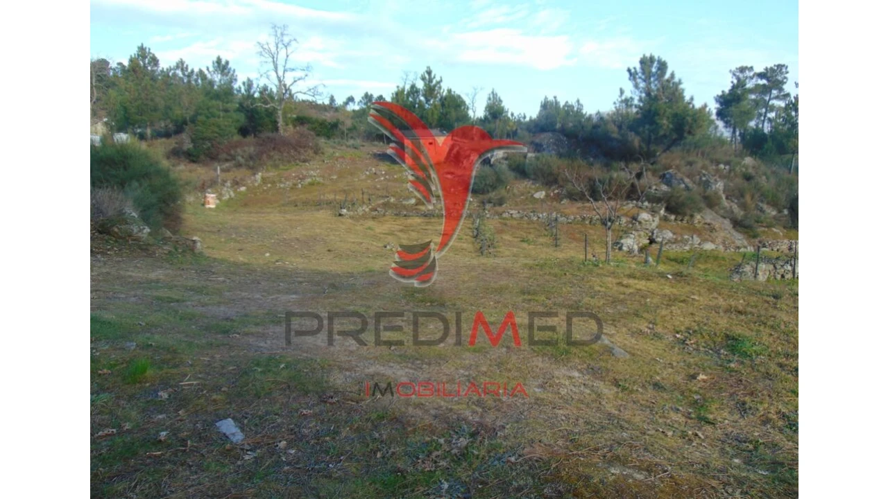 Terreno para Venda em Cumieira Foto 7