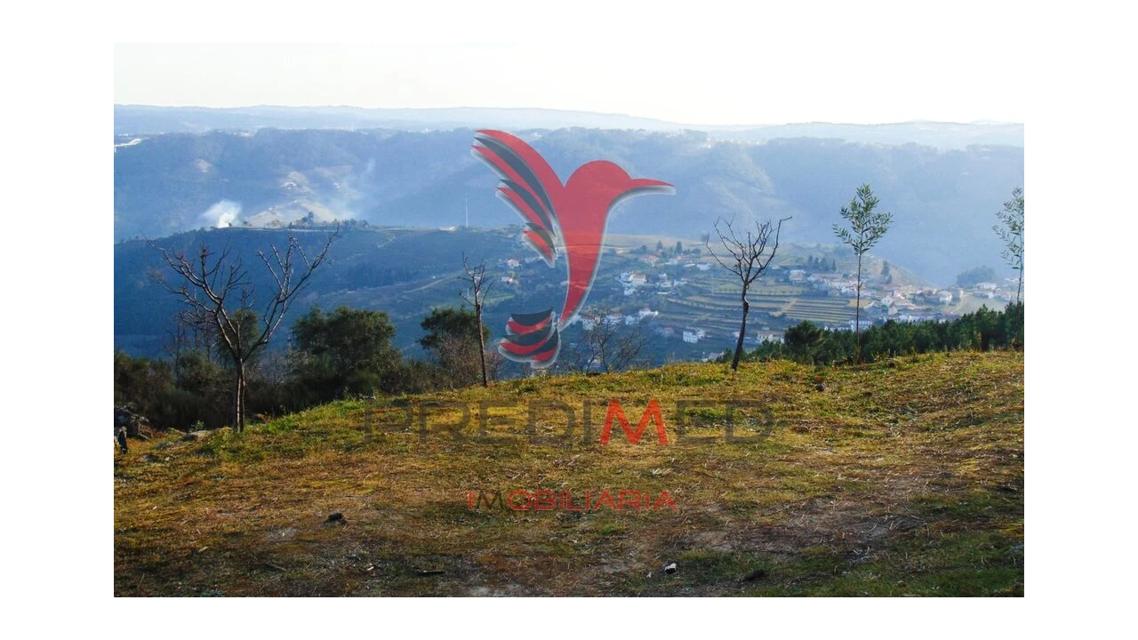 Terreno para Venda em Cumieira Foto 5