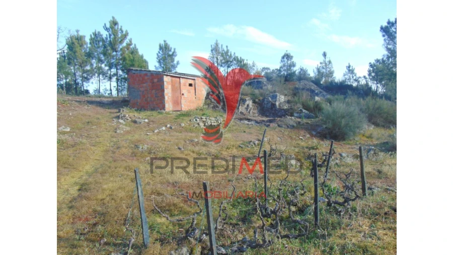 Terreno para Venda em Cumieira Foto 10