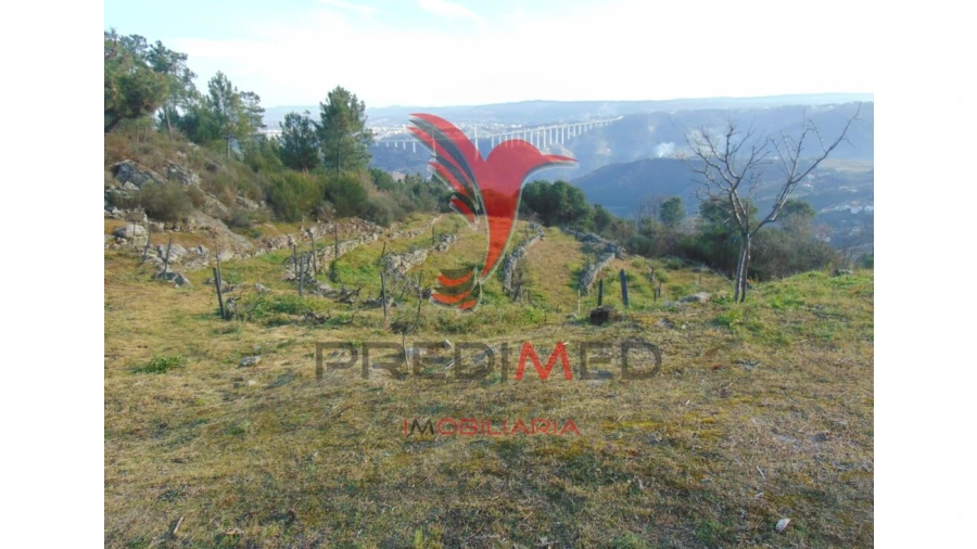 Terreno para Venda em Cumieira Foto 17