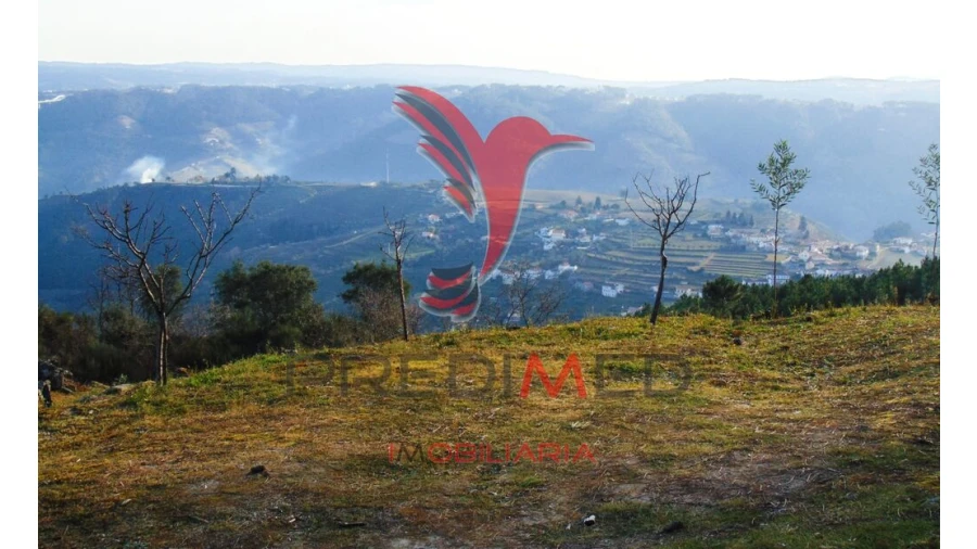 Terreno para Venda em Cumieira Foto 5