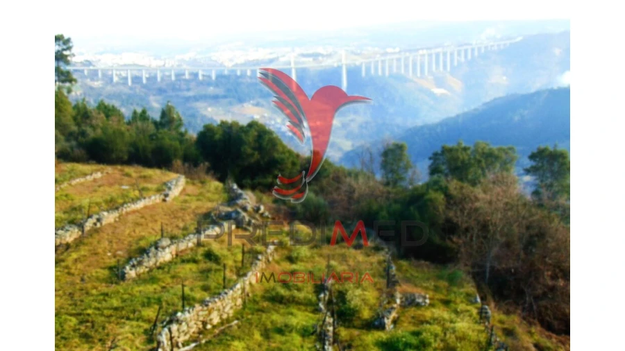 Terreno para Venda em Cumieira Foto 16