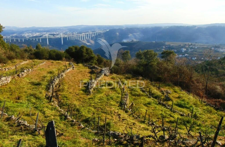 Terreno para Venda em Cumieira