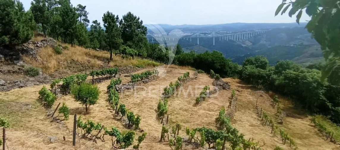 Terreno para Venda em Cumieira Foto 6
