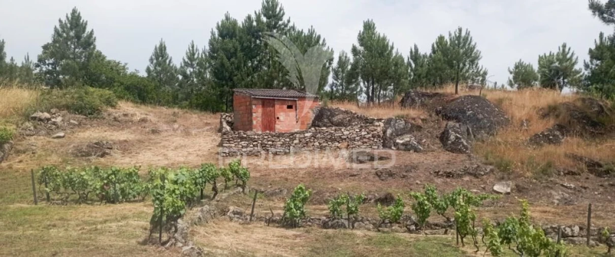 Terreno para Venda em Cumieira Foto 8