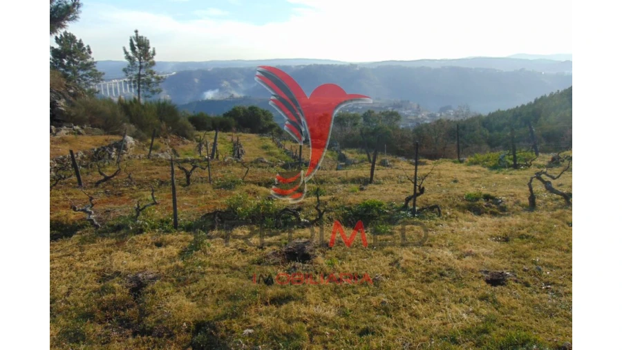 Terreno para Venda em Cumieira Foto 19